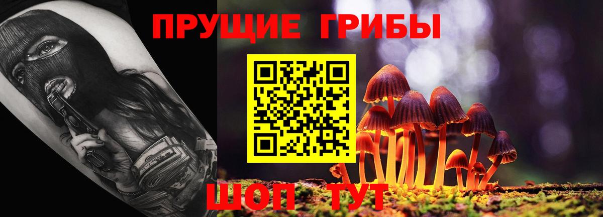 Мурманск  Галлюциногенные грибы Psilocybine cubensis  Вход с VPN  Галлюциногенные грибы Magic Shrooms 